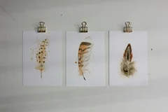 Image of a feather watercolor painting by Shayna Larsen, originals & prints available
