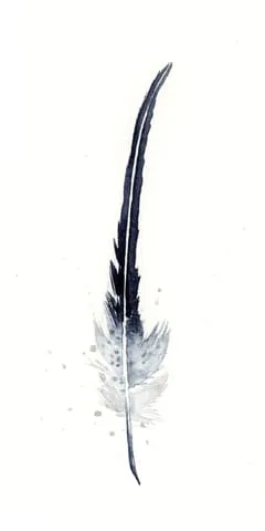Image of a feather watercolor painting by Shayna Larsen, originals & prints available