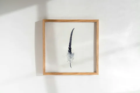 Image of a feather watercolor painting by Shayna Larsen, originals & prints available