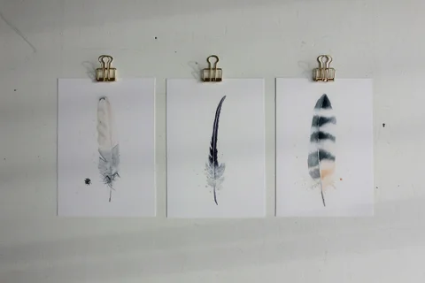 Image of a feather watercolor painting by Shayna Larsen, originals & prints available