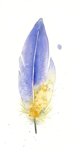 Image of a feather watercolor painting by Shayna Larsen, originals & prints available