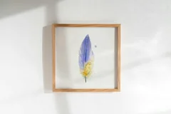Image of a feather watercolor painting by Shayna Larsen, originals & prints available