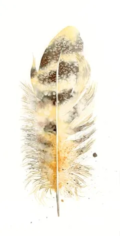 Image of a feather watercolor painting by Shayna Larsen, originals & prints available