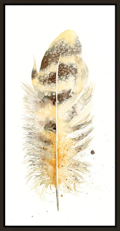 Image of a feather watercolor painting by Shayna Larsen, originals & prints available