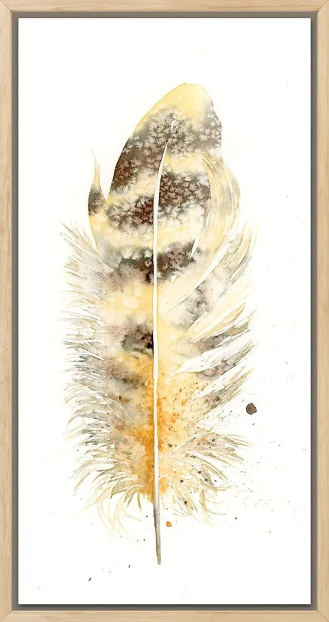 Image of a feather watercolor painting by Shayna Larsen, originals & prints available