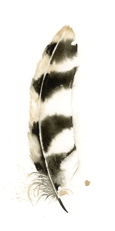 Image of a feather watercolor painting by Shayna Larsen, originals & prints available