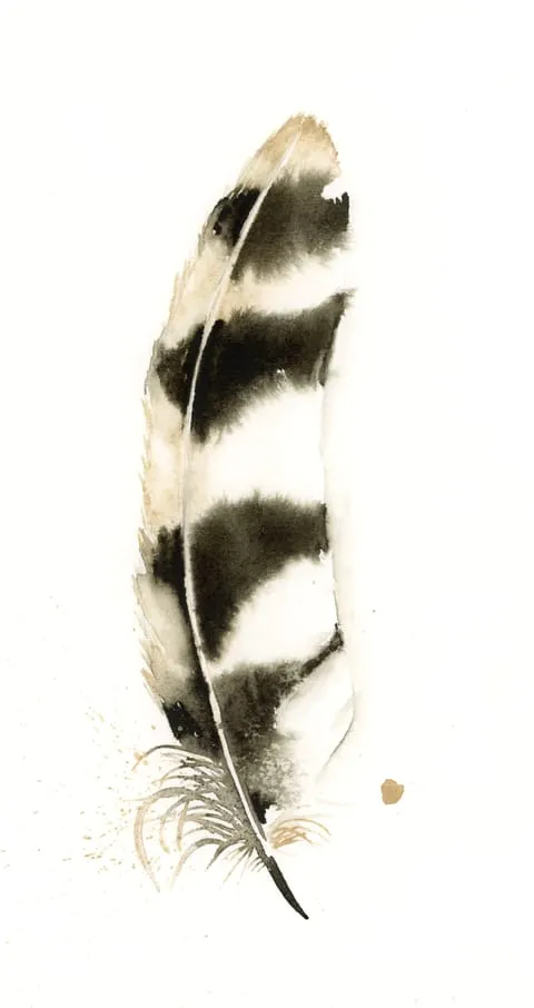 Image of a feather watercolor painting by Shayna Larsen, originals & prints available