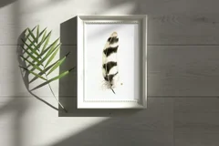 Image of a feather watercolor painting by Shayna Larsen, originals & prints available