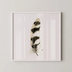 Image of a feather watercolor painting by Shayna Larsen, originals & prints available