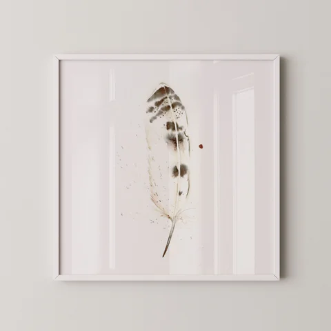 Image of a feather watercolor painting by Shayna Larsen, originals & prints available