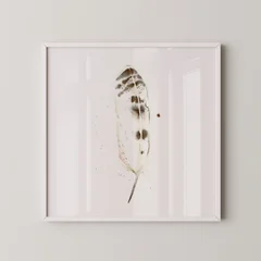 Image of a feather watercolor painting by Shayna Larsen, originals & prints available