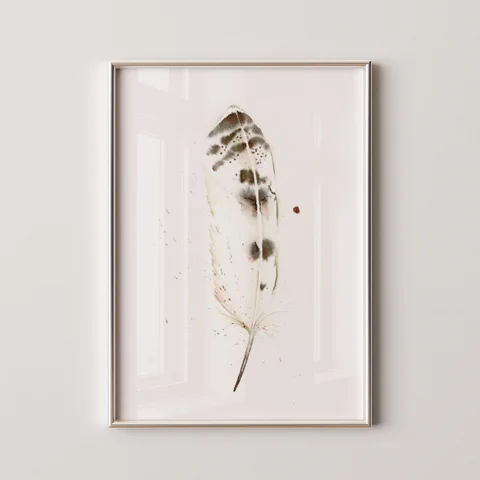 Image of a feather watercolor painting by Shayna Larsen, originals & prints available