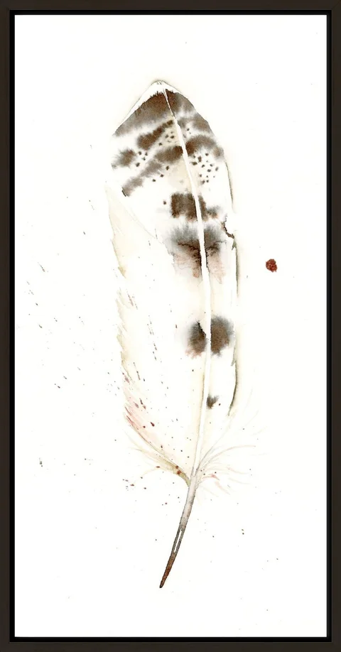 Image of a feather watercolor painting by Shayna Larsen, originals & prints available