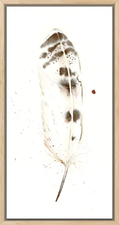 Image of a feather watercolor painting by Shayna Larsen, originals & prints available