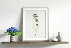 Image of a feather watercolor painting by Shayna Larsen, originals & prints available