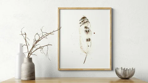 Image of a feather watercolor painting by Shayna Larsen, originals & prints available