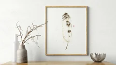 Image of a feather watercolor painting by Shayna Larsen, originals & prints available