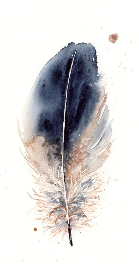 Image of a feather watercolor painting by Shayna Larsen, originals & prints available