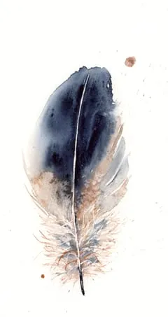 Image of a feather watercolor painting by Shayna Larsen, originals & prints available