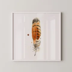 Image of a feather watercolor painting by Shayna Larsen, originals & prints available