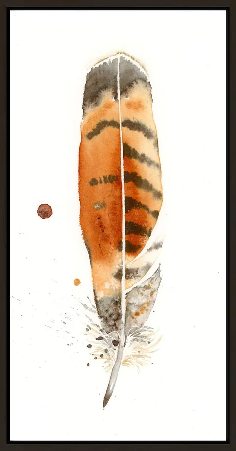 Image of a feather watercolor painting by Shayna Larsen, originals & prints available