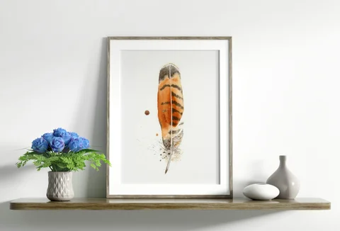 Image of a feather watercolor painting by Shayna Larsen, originals & prints available