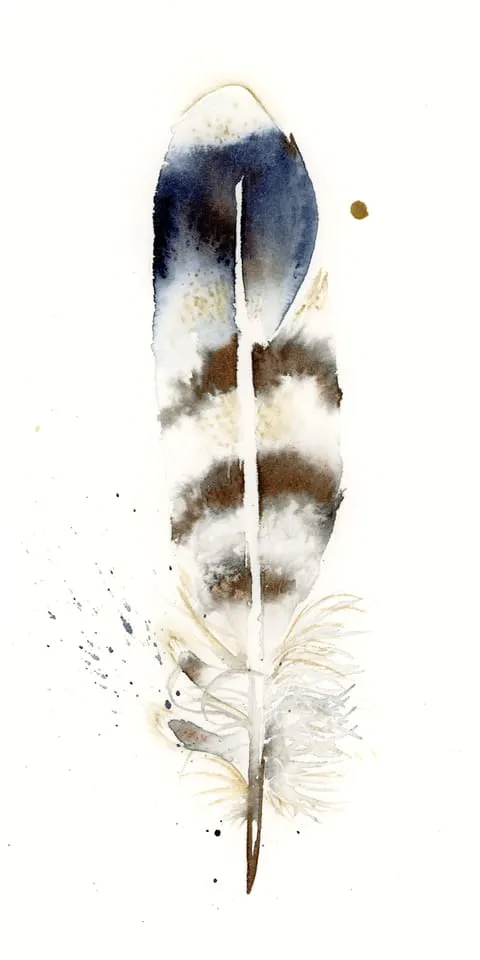 Image of a feather watercolor painting by Shayna Larsen, originals & prints available