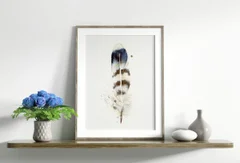 Image of a feather watercolor painting by Shayna Larsen, originals & prints available