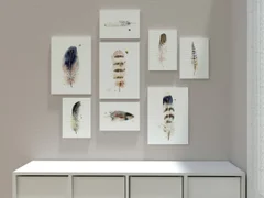 Image of a feather watercolor painting by Shayna Larsen, originals & prints available