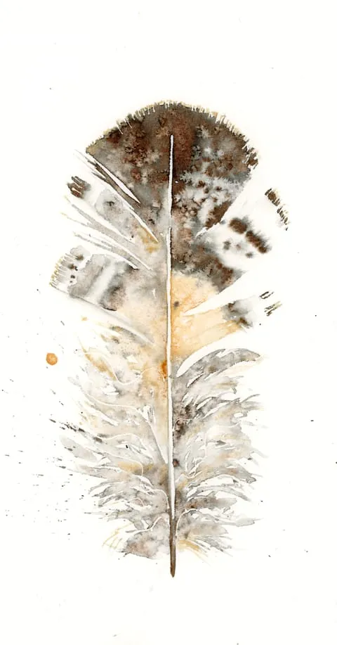 Image of a feather watercolor painting by Shayna Larsen, originals & prints available