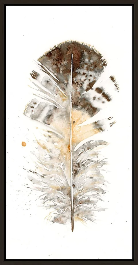 Image of a feather watercolor painting by Shayna Larsen, originals & prints available