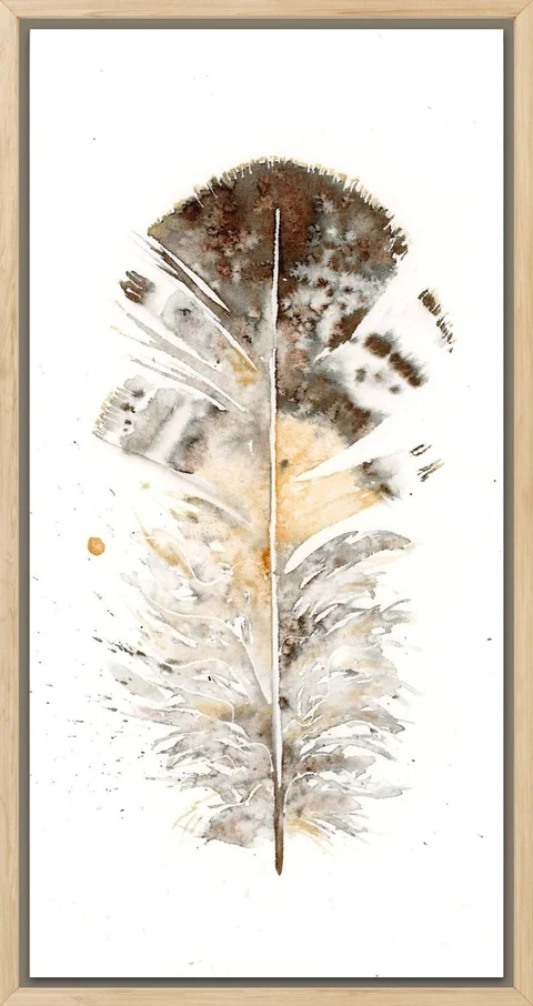 Image of a feather watercolor painting by Shayna Larsen, originals & prints available