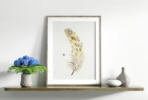 Image of a feather watercolor painting by Shayna Larsen, originals & prints available