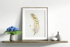 Image of a feather watercolor painting by Shayna Larsen, originals & prints available