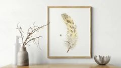 Image of a feather watercolor painting by Shayna Larsen, originals & prints available