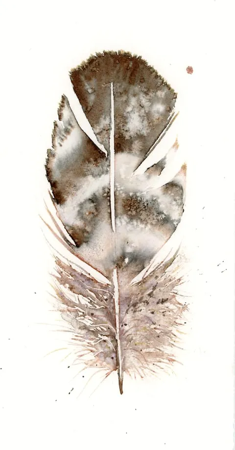 Image of a feather watercolor painting by Shayna Larsen, originals & prints available