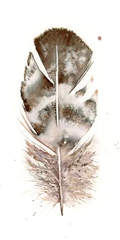 Image of a feather watercolor painting by Shayna Larsen, originals & prints available