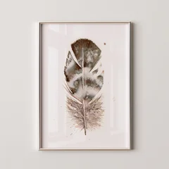 Image of a feather watercolor painting by Shayna Larsen, originals & prints available
