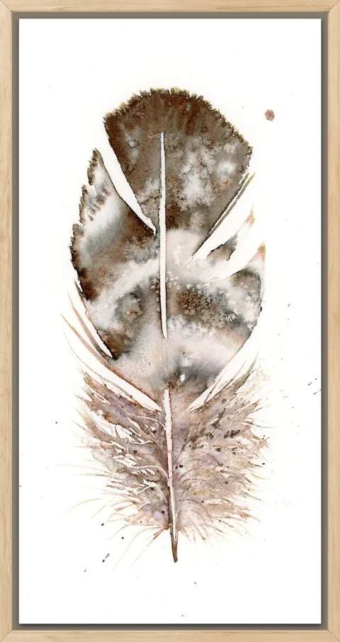 Image of a feather watercolor painting by Shayna Larsen, originals & prints available