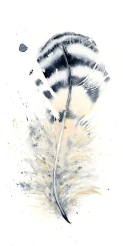Image of a feather watercolor painting by Shayna Larsen, originals & prints available