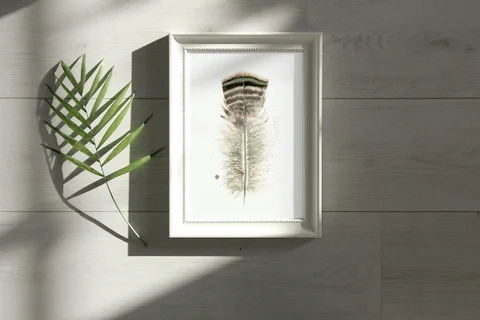 Image of a feather watercolor painting by Shayna Larsen, originals & prints available