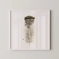 Image of a feather watercolor painting by Shayna Larsen, originals & prints available