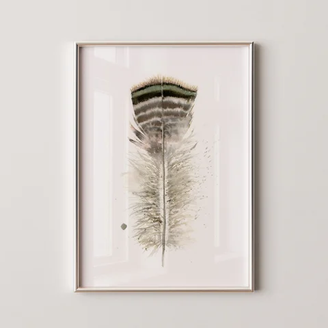 Image of a feather watercolor painting by Shayna Larsen, originals & prints available