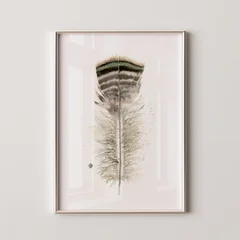 Image of a feather watercolor painting by Shayna Larsen, originals & prints available