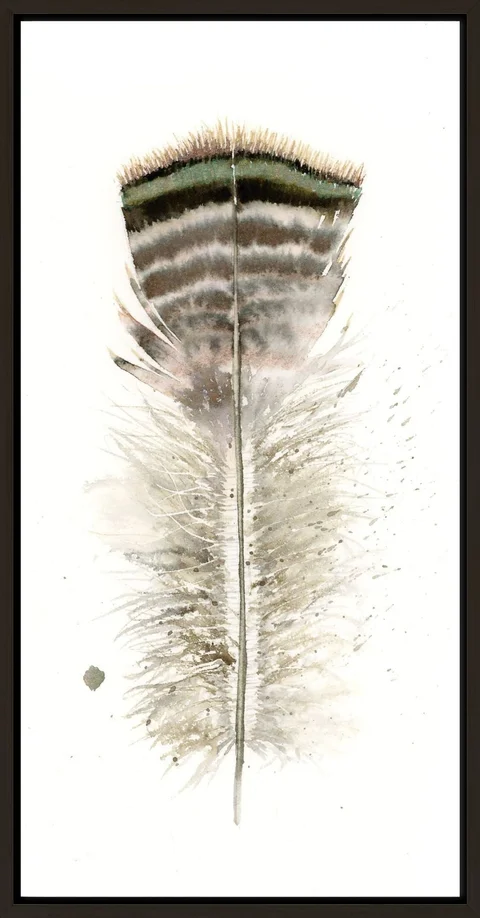 Image of a feather watercolor painting by Shayna Larsen, originals & prints available