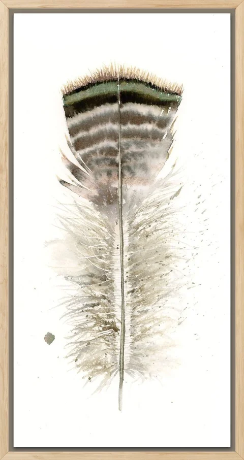 Image of a feather watercolor painting by Shayna Larsen, originals & prints available