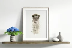 Image of a feather watercolor painting by Shayna Larsen, originals & prints available