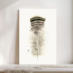 Image of a feather watercolor painting by Shayna Larsen, originals & prints available