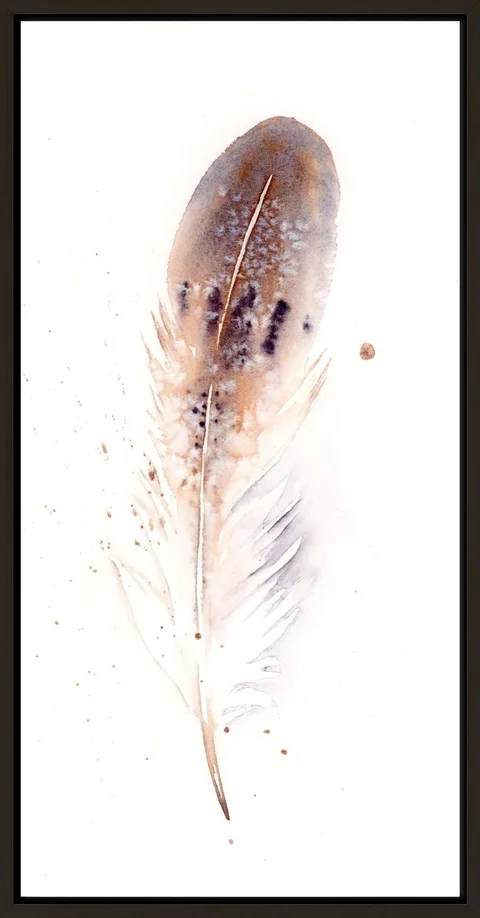 Image of a feather watercolor painting by Shayna Larsen, originals & prints available