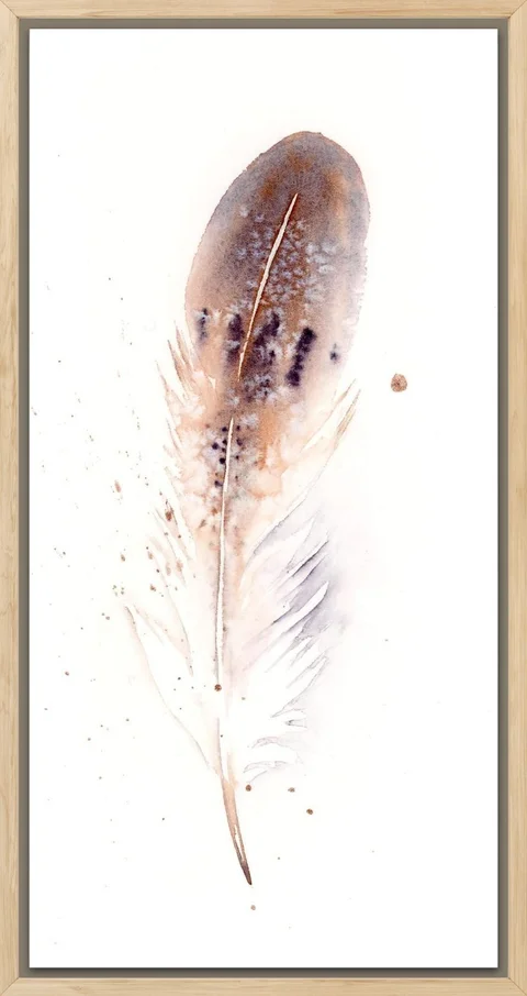 Image of a feather watercolor painting by Shayna Larsen, originals & prints available